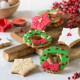 Sausainių formelės kalėdinė gėlė ir vainikas 