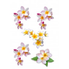 Valgomas paveikslėlis Baltos gėlės